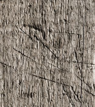 Wooden texture