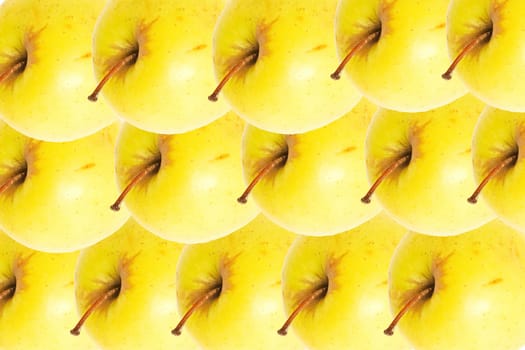 Yellow apples as a background