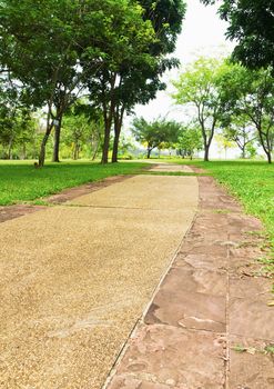 Single Lane Road concrete in garden