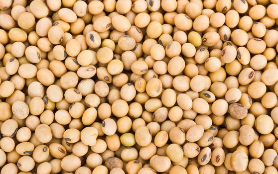 Close up shot of soybeans fills the frame