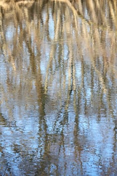 Trees reflect off the surface of the Kishwaukee River in northern Illinois.