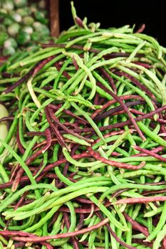 A lots runner beans in the market