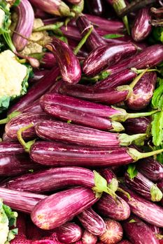 A lots ripe eggplants in the market