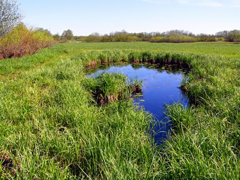 small lake on field