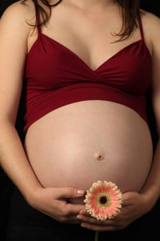 Photo of a pregnant female holding a gerbera flower close to her belly.