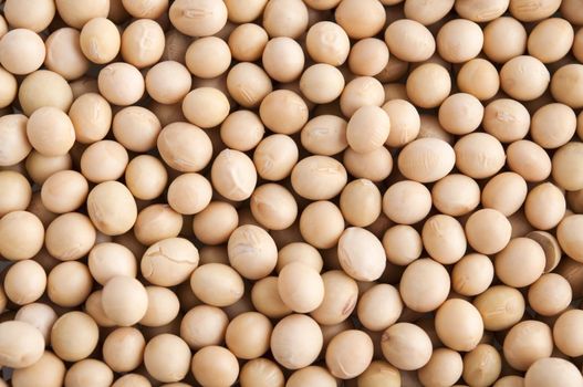 Organic soybeans background, non-genetic modified.