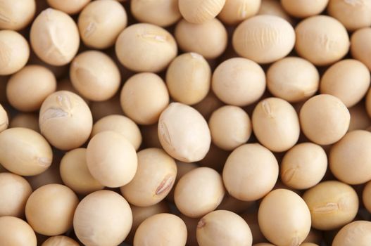 Organic soybeans background, non-genetic modified.