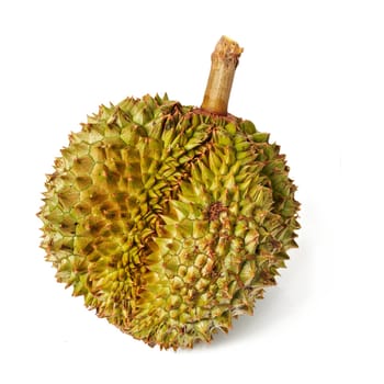 King of the fruits. Durian. Giant Tropical Fruit.