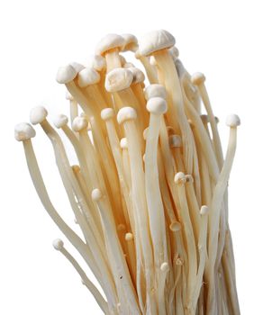 Heap of raw White Mushrooms isolated over white.