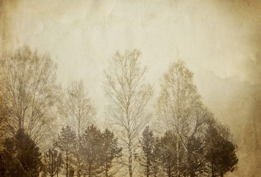 Trees on vintage paper sheet.