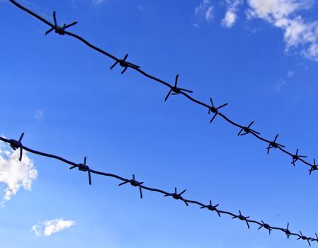 Barbed wire and blue sky