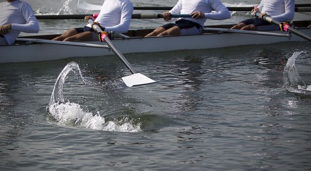 feel the rowing.