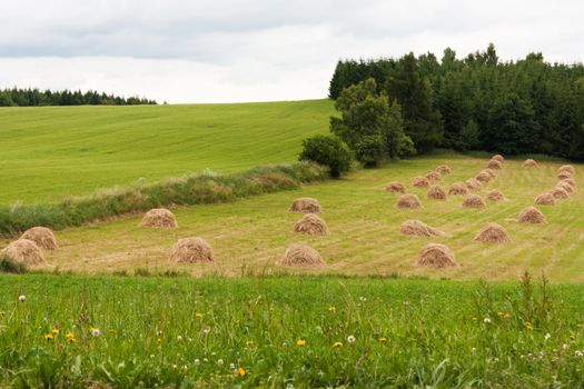 Agricultural landscape in Czech Republic, Europe