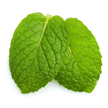 Isolated macro of fresh mint leaves.