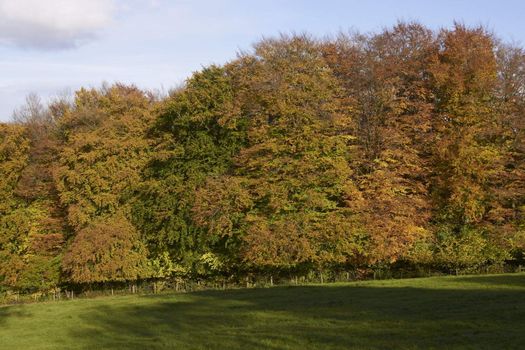 Autumn colours in the Cotswolds, Gloucestershire, England.