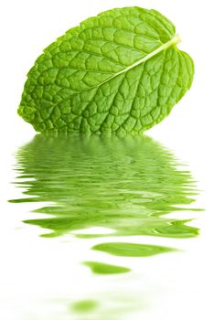 Close up mint leaf water reflection