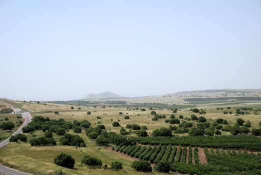 Panoramic view of golan heights, Israel 2009