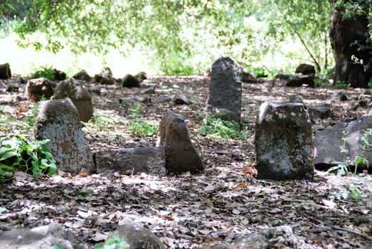 Ancient cemetery in a shade of crones of trees