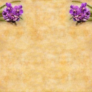Artistic work of my own in retro style - Greeting card  with purple Orchid. Space for text.