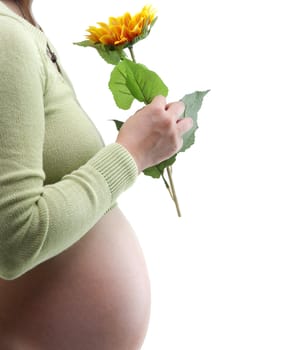 Young Mother holding a sunflower on white background