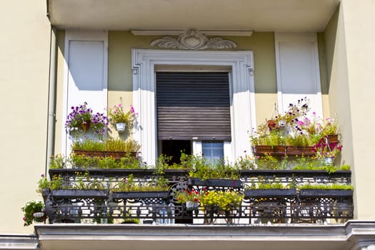 old balcony with flowers