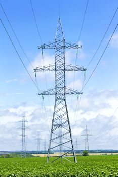 several transmission lines in the middle of a  field