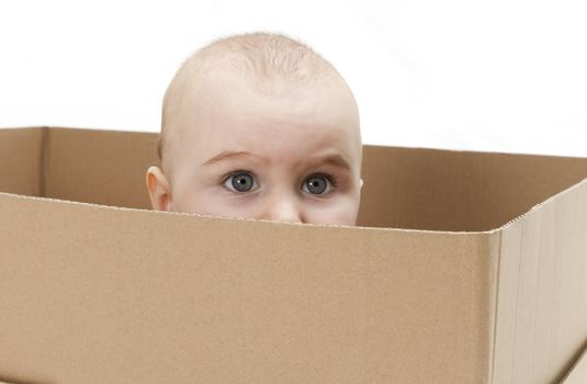 young child looking out of open cardboard box