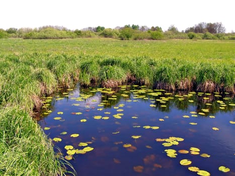 small lake on green field