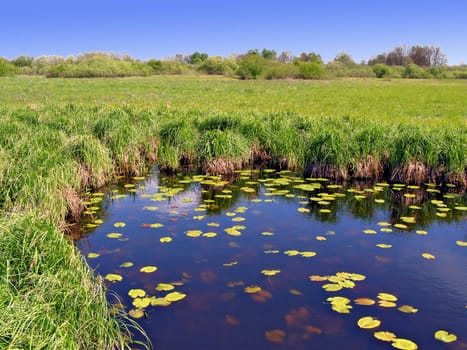 small lake on green field