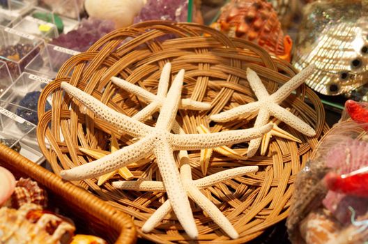 The dried up starfish in a square-braid basket