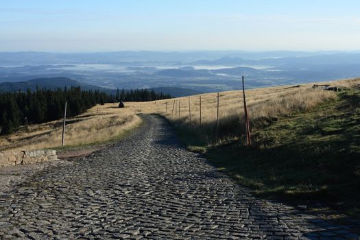 mountain road in the sunshine