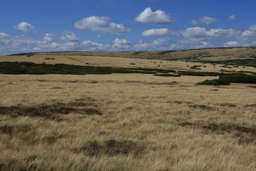 a "piece of steppe" in Karkonosze mountain Poland