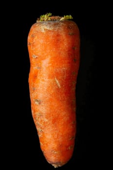 orange carrot against the black background