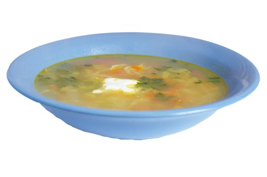 plate with the Russian borsch against the white background