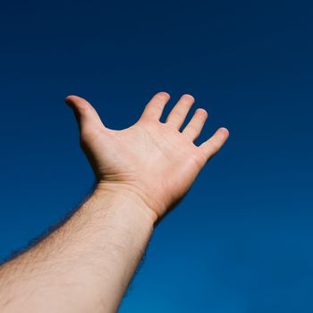 The open palm with blue sky at background