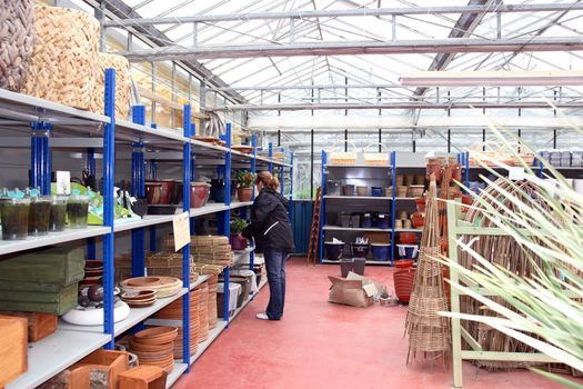 woman shopping in an irish garden centre