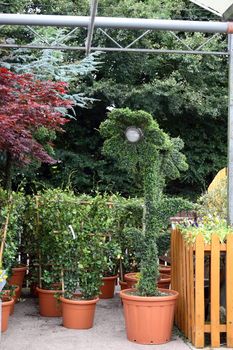 a potted garden light in a garden centre