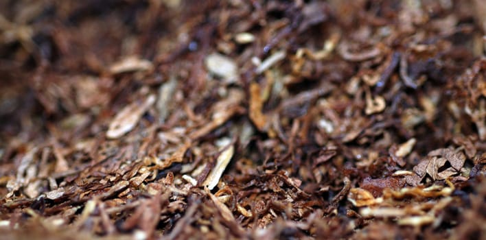 A macro shot of tobacco, ready to roll into a cigarette