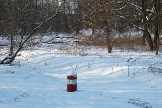 Winter wood rolling in just dropped out snow