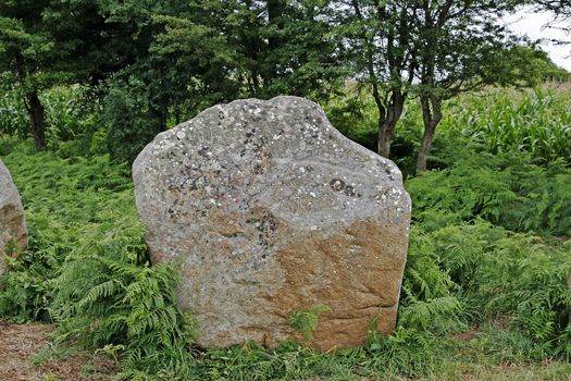 near Erdeven, Alignements de Kerzerho, Brittany, stone grave