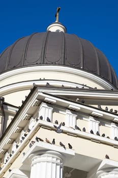 pigeons sitting on church ruf and flying around