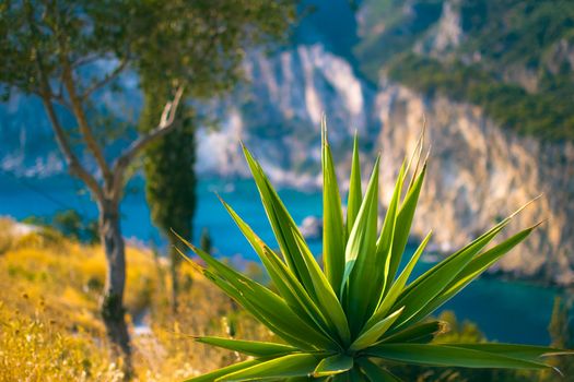 Paleokastritsa bay on Corfu island Greece