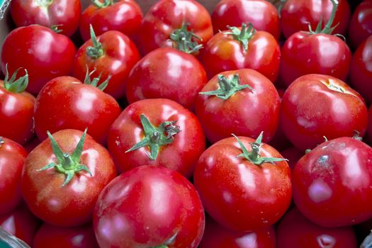 A background of fresh tomatoes for sale at a green market