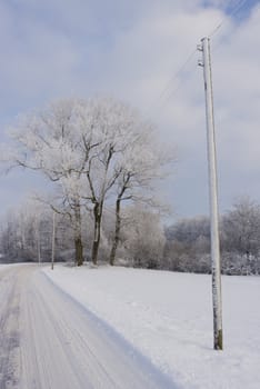 Winter in the countryside. Telephone poles and trees after snowfall - Denmark.