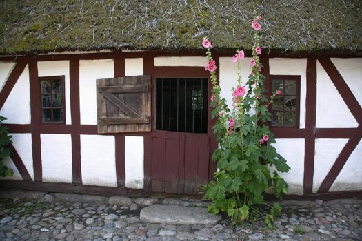 Detail of very old Danish farmhouse. The Funen Village, Odense.