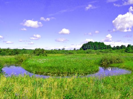 river on field