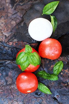 Ingredients for Caprese Salad. Mozzarella cheese, fresh basil, and tomatoes on a rustic slate background. 