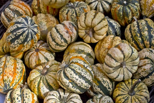 Colorful pumpkins