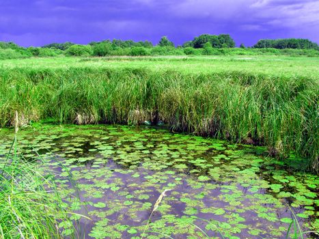 small lake on field