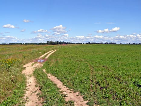rural road through field